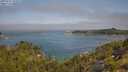 ./images/calvert/foggy-cove/20250721/foggy-cove20250721_102509M.jpg