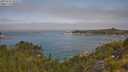 ./images/calvert/foggy-cove/20250721/foggy-cove20250721_103508M.jpg