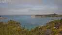 ./images/calvert/foggy-cove/20250721/foggy-cove20250721_104510M.jpg