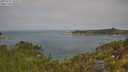 ./images/calvert/foggy-cove/20250721/foggy-cove20250721_105009M.jpg