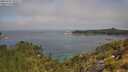 ./images/calvert/foggy-cove/20250721/foggy-cove20250721_105507M.jpg