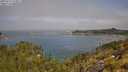 ./images/calvert/foggy-cove/20250721/foggy-cove20250721_110011M.jpg