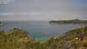 ./images/calvert/foggy-cove/20250721/foggy-cove20250721_113511M.jpg