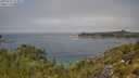 ./images/calvert/foggy-cove/20250721/foggy-cove20250721_114511M.jpg
