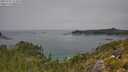 ./images/calvert/foggy-cove/20250721/foggy-cove20250721_122010M.jpg