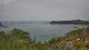 ./images/calvert/foggy-cove/20250721/foggy-cove20250721_122508M.jpg