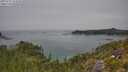 ./images/calvert/foggy-cove/20250721/foggy-cove20250721_124510M.jpg