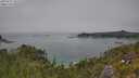 ./images/calvert/foggy-cove/20250721/foggy-cove20250721_131510M.jpg