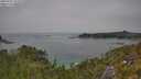 ./images/calvert/foggy-cove/20250721/foggy-cove20250721_132510M.jpg