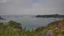 ./images/calvert/foggy-cove/20250721/foggy-cove20250721_133011M.jpg