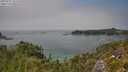 ./images/calvert/foggy-cove/20250721/foggy-cove20250721_135508M.jpg