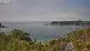 ./images/calvert/foggy-cove/20250721/foggy-cove20250721_140011M.jpg