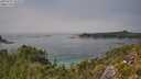 ./images/calvert/foggy-cove/20250721/foggy-cove20250721_141009M.jpg