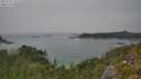 ./images/calvert/foggy-cove/20250721/foggy-cove20250721_143508M.jpg