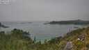./images/calvert/foggy-cove/20250721/foggy-cove20250721_144511M.jpg