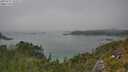 ./images/calvert/foggy-cove/20250721/foggy-cove20250721_150510M.jpg