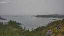 ./images/calvert/foggy-cove/20250721/foggy-cove20250721_161510M.jpg