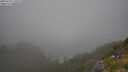 ./images/calvert/foggy-cove/20250721/foggy-cove20250721_170508M.jpg