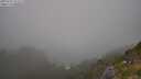 ./images/calvert/foggy-cove/20250721/foggy-cove20250721_171509M.jpg