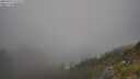 ./images/calvert/foggy-cove/20250721/foggy-cove20250721_172510M.jpg