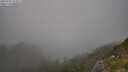 ./images/calvert/foggy-cove/20250721/foggy-cove20250721_173011M.jpg