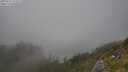 ./images/calvert/foggy-cove/20250721/foggy-cove20250721_173507M.jpg