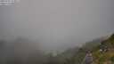 ./images/calvert/foggy-cove/20250721/foggy-cove20250721_174011M.jpg