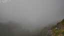 ./images/calvert/foggy-cove/20250721/foggy-cove20250721_174511M.jpg
