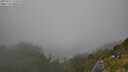 ./images/calvert/foggy-cove/20250721/foggy-cove20250721_175010M.jpg