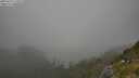 ./images/calvert/foggy-cove/20250721/foggy-cove20250721_175509M.jpg