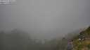 ./images/calvert/foggy-cove/20250721/foggy-cove20250721_180014M.jpg