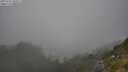 ./images/calvert/foggy-cove/20250721/foggy-cove20250721_180511M.jpg