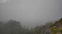 ./images/calvert/foggy-cove/20250721/foggy-cove20250721_181010M.jpg