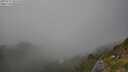 ./images/calvert/foggy-cove/20250721/foggy-cove20250721_181510M.jpg