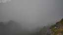 ./images/calvert/foggy-cove/20250721/foggy-cove20250721_182011M.jpg