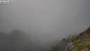 ./images/calvert/foggy-cove/20250721/foggy-cove20250721_182510M.jpg