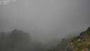 ./images/calvert/foggy-cove/20250721/foggy-cove20250721_183011M.jpg
