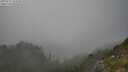 ./images/calvert/foggy-cove/20250721/foggy-cove20250721_183510M.jpg