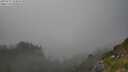 ./images/calvert/foggy-cove/20250721/foggy-cove20250721_184010M.jpg