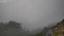 ./images/calvert/foggy-cove/20250721/foggy-cove20250721_184511M.jpg