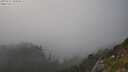 ./images/calvert/foggy-cove/20250721/foggy-cove20250721_185010M.jpg