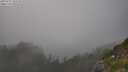 ./images/calvert/foggy-cove/20250721/foggy-cove20250721_185510M.jpg