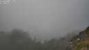 ./images/calvert/foggy-cove/20250721/foggy-cove20250721_190007M.jpg