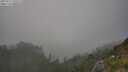 ./images/calvert/foggy-cove/20250721/foggy-cove20250721_190508M.jpg