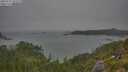 ./images/calvert/foggy-cove/20250722/foggy-cove20250722_102509M.jpg