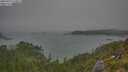 ./images/calvert/foggy-cove/20250722/foggy-cove20250722_110011M.jpg