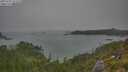 ./images/calvert/foggy-cove/20250722/foggy-cove20250722_112510M.jpg