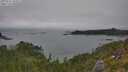 ./images/calvert/foggy-cove/20250722/foggy-cove20250722_145011M.jpg