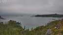 ./images/calvert/foggy-cove/20250722/foggy-cove20250722_150508M.jpg