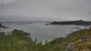 ./images/calvert/foggy-cove/20250722/foggy-cove20250722_154509M.jpg